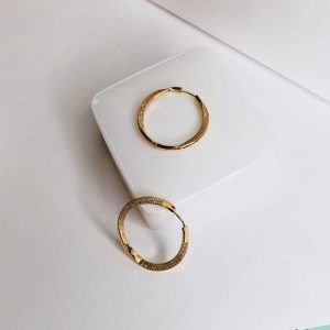 Arracadas circulo zirconia chapa Oro 18k