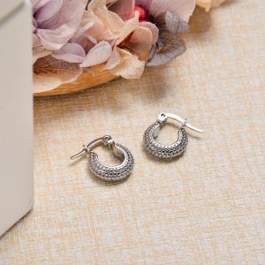 Aretes plateado