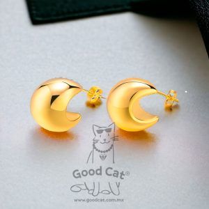 Aretes chapa oro 18k acero inoxidable dorado mod11713