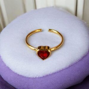 Anillo acero inoxidable CH-O 18K mod11871