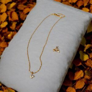 Conjunto aretes acero titanio mod11873