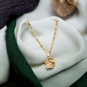 Collar AT mod11992