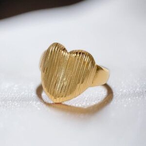 Anillo Acero inoxidable CH-O 18k mo12011