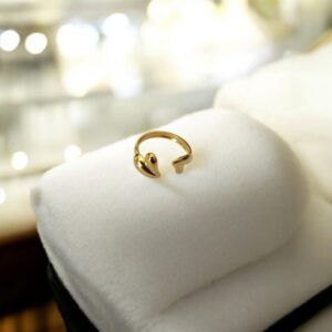 Anillo acero inoxidable mod12062