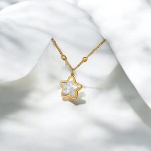 Collar Acero Titanio mod12094
