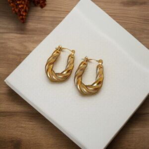 Aretes Acero Titanio mod12109