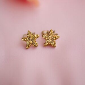 Aretes estrellas Acero inoxidable mod12112