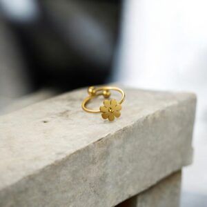 Anillo Acero inoxidable mod12200