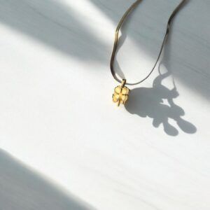 Collar acero titanio mod1169