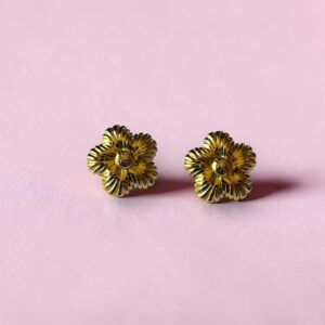 Aretes Acero Inoxidable mod12231