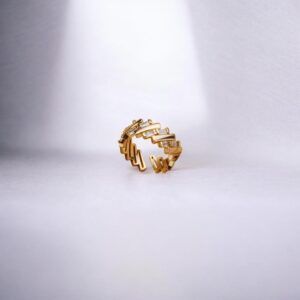 Anillo Acero inoxidable mod12269
